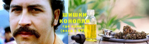сатива Алексин