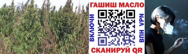 Дистиллят ТГК гашишное масло  Купить где  Выборг 