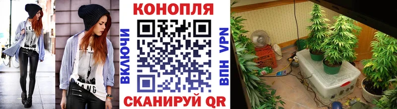 Марихуана конопля  Купить закладки  Выборг 